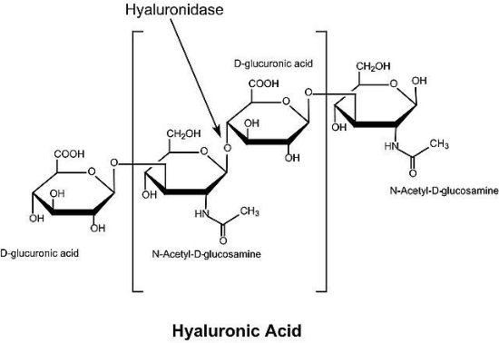 图片 透明质酸酶来源于牛睾丸，Hyaluronidase from bovine testes；Type IV-S, powder, suitable for mouse embryo cell culture, 750-3000 units/mg solid