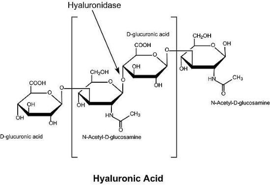图片 透明质酸酶来源于牛睾丸，Hyaluronidase from bovine testes；Type IV-S, lyophilized powder (essentially salt-free), 750-3000 units/mg solid