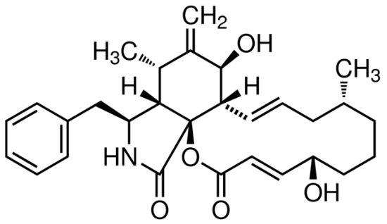 图片 细胞松弛素B，Cytochalasin B from Drechslera dematioidea；≥98% (HPLC), powder