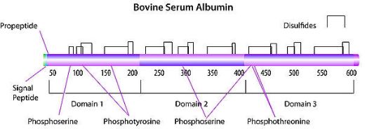 图片 牛血清白蛋白 [BSA]，Bovine Serum Albumin；heat shock fraction, protease free, fatty acid free, essentially globulin free, pH 7, ≥98%