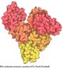 图片 牛血清白蛋白 [BSA]，Bovine Serum Albumin；heat shock fraction, protease free, fatty acid free, essentially globulin free, pH 7, ≥98%