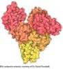 图片 牛血清白蛋白 [BSA]，Bovine Serum Albumin；heat shock fraction, Australia origin, protease free, low fatty acid, low IgG, pH 7, ≥98%