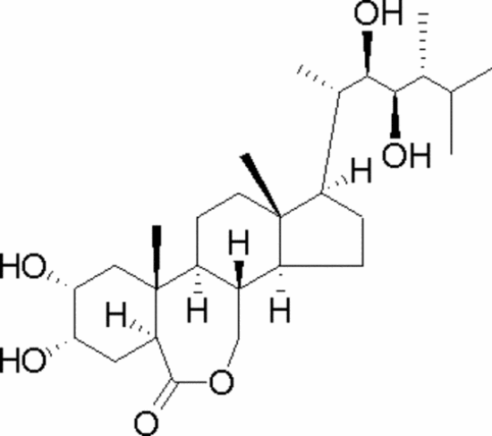 图片 表油菜素内酯，Epibrassinolide；≥85%