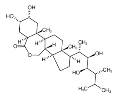 图片 芸苔素内酯 [黄铜质, 油菜素内酯]，Brassinolide；≥80% (TLC)