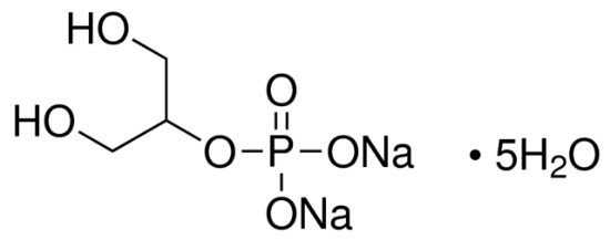 图片 β-甘油磷酸二钠盐五水合物 [β-GP]；β-Glycerol phosphate disodium salt pentahydrate [BGP]；≥98.0% (NT)