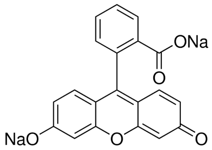 图片 荧光素钠盐，Fluorescein sodium salt；used as fluorescent tracer