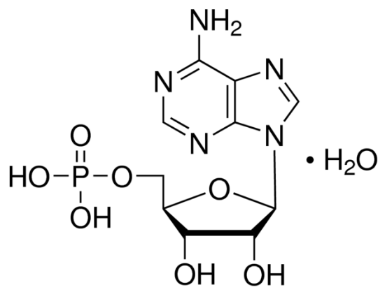 图片 腺苷-5'-单磷酸一水合物，Adenosine 5′-monophosphate [5′-AMP]；from yeast, ≥97%