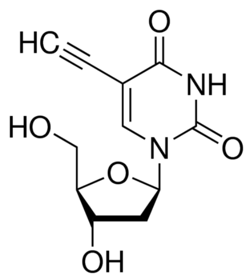 图片 5-乙炔基-2′-脱氧尿苷，5-Ethynyl-2′-deoxyuridine [EdU]；95%