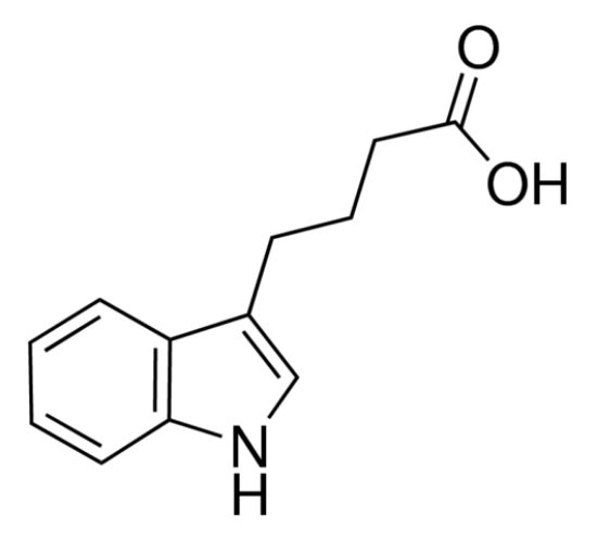 图片 3-吲哚丁酸 [IBA]，Indole-3-butyric acid；suitable for plant cell culture, BioReagent, ≥98%