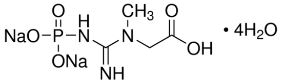 图片 磷酸氢钠肌酸二钠四水合物 [磷酸肌酸钠]，Sodium creatine phosphate dibasic tetrahydrate；≥98.0% (NT)