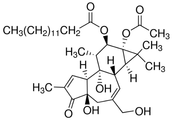 图片 佛波醇12-十四酸酯13-乙酸酯，Phorbol 12-myristate 13-acetate [PMA, TPA]；for use in molecular biology applications, ≥99% (HPLC)