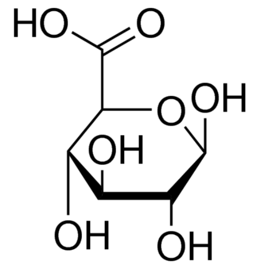 图片 D-葡萄糖醛酸 [D-葡糖醛酸]，D-Glucuronic acid；≥98% (GC)