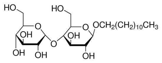 图片 正十二烷基β-D-麦芽糖苷，n-Dodecyl β-D-maltoside [DDM]；≥98% (GC)