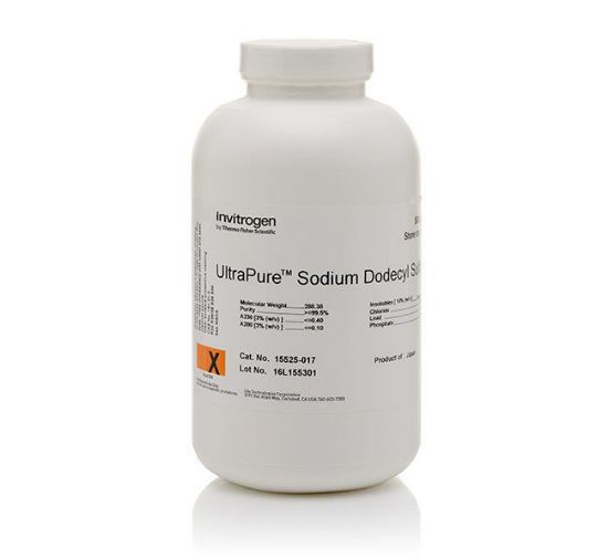 图片 十二烷基硫酸钠，UltraPure™ Sodium Dodecyl Sulfate [SDS]