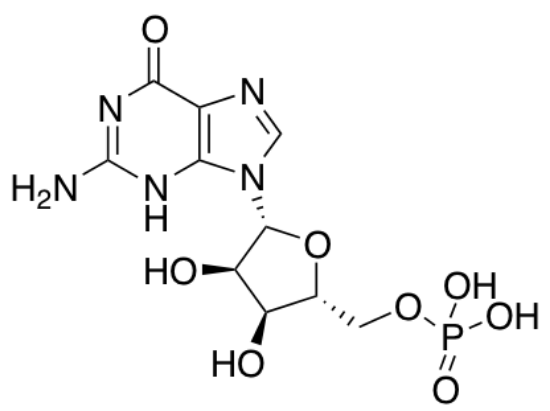 图片 鸟苷5'-单磷酸 [5'-单磷酸鸟苷]，5-Guanylic Acid [5'-GMP]