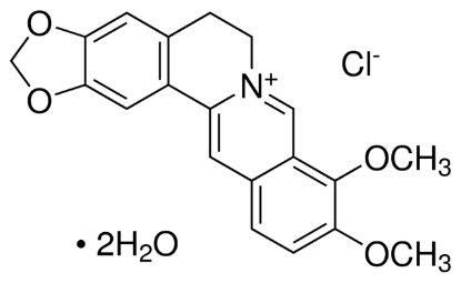图片 盐酸小檗碱，Berberine chloride form；Pharmaceutical Secondary Standard; Certified Reference Material