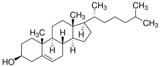 图片 胆固醇，Cholesterol；from sheep wool, ≥92.5% (GC), powder