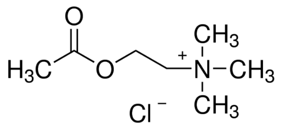 图片 氯化乙酰胆碱，Acetylcholine chloride [ACh]；suitable for cell culture, ~99%