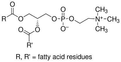 图片 L-α-磷脂酰胆碱 [大豆卵磷脂, PC]，L-α-Phosphatidylcholine；from soybean, ≥99% (TLC), lyophilized powder