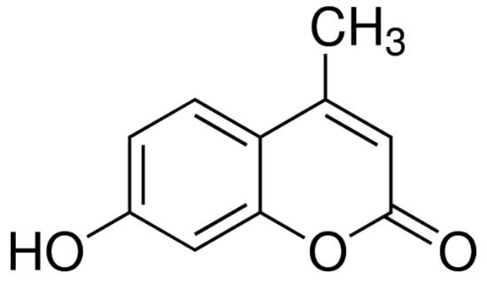 图片 4-甲基伞形酮，4-Methylumbelliferone [4-MU]；≥98%