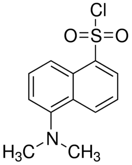 图片 丹磺酰氯 [丹酰氯, DNSCl]，Dansyl chloride；BioReagent, suitable for amino acid labeling, powder and chunks, ≥99% (HPLC)