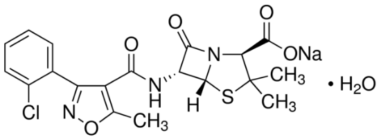 图片 氯唑西林钠盐一水合物，Cloxacillin sodium salt monohydrate；β-lactamase-resistant antibiotic