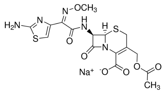 图片 头孢噻肟钠盐 [噻孢霉素]，Cefotaxime sodium salt；suitable for plant cell culture, BioReagent, powder or crystals