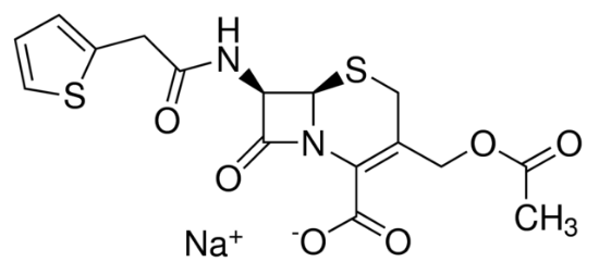 图片 头孢菌素钠盐 [头孢噻吩钠]，Cephalothin sodium salt；≥900 µg/mg