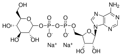 图片 腺苷-5′-二磷酸葡萄糖二钠盐，Adenosine-5′-diphosphoglucose disodium [ADPG]；≥93%