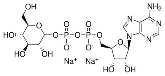 图片 腺苷-5′-二磷酸葡萄糖二钠盐，Adenosine-5′-diphosphoglucose disodium [ADPG]；≥93%