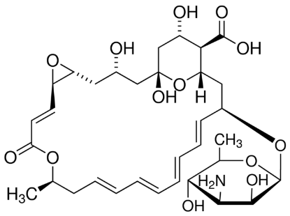 图片 纳他霉素 [游霉素, 匹马霉素]，Pimaricin [Natamycin]；from Streptomyces chattanoogensis, ≥95% (HPLC)