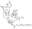 图片 衣霉素来源于链霉菌属，Tunicamycin from Streptomyces sp；≥98.0%