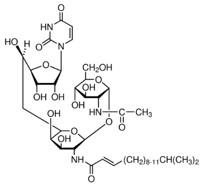 图片 衣霉素来源于链霉菌属，Tunicamycin from Streptomyces sp；≥98.0%