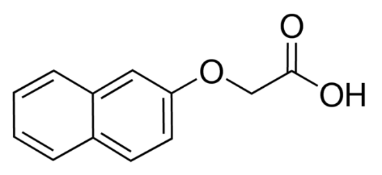 图片 2-萘氧基乙酸 [β-萘氧乙酸]，2-Naphthoxyacetic acid [BNOA]；suitable for plant cell culture, BioReagent, crystalline, ≥98%