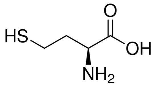 图片 L-高半胱氨酸，L-Homocysteine；≥98.0% (NT)