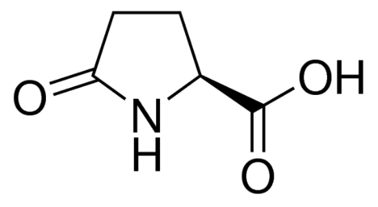 图片 L-焦谷氨酸，L-Pyroglutamic acid；≥99.0% (T)