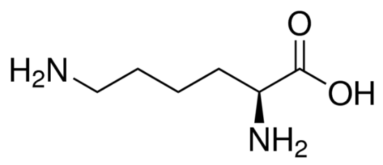 图片 L-赖氨酸，L-Lysine；≥98% (TLC)