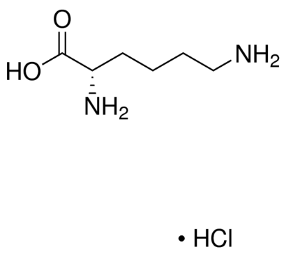 图片 L-赖氨酸盐酸盐，L-Lysine monohydrochloride；from non-animal source, meets EP, JP, USP testing specifications, suitable for cell culture, 98.5-101.0%