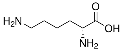 图片 D-赖氨酸，D-Lysine；≥98% (HPLC)