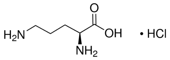 图片 L-鸟氨酸单盐酸盐，L-Ornithine monohydrochloride；≥99%