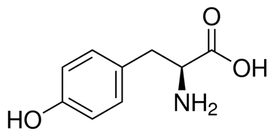 图片 L-酪氨酸，L-Tyrosine；reagent grade, ≥98% (HPLC)