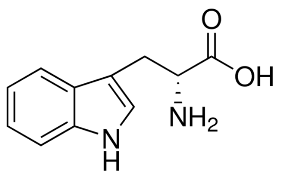图片 D-色氨酸，D-Tryptophan；≥98.0% (HPLC)