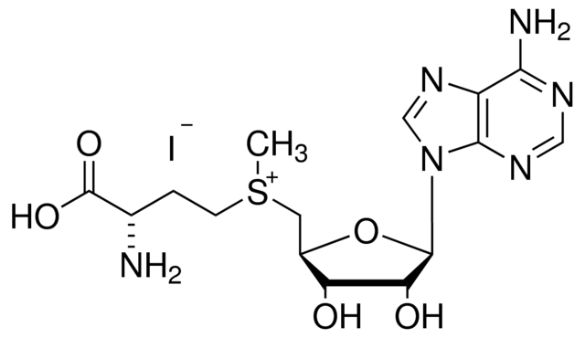 s-(5′-腺苷)-l-甲硫氨酸碘盐,s-(5′-adenosyl)-l-methionine iodide