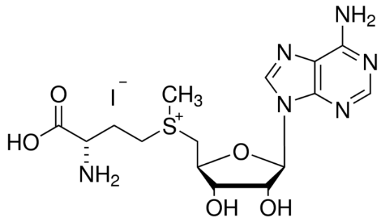 图片 S-(5′-腺苷)-L-甲硫氨酸碘盐，S-(5′-Adenosyl)-L-methionine iodide [AdoMet, SAM]；≥80% (HPLC), ≥80% (spectrophotometric assay)