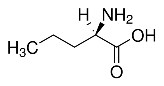 图片 D-正缬氨酸，D-Norvaline；99%