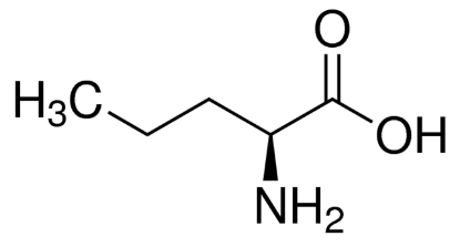 图片 L-正缬氨酸，L-Norvaline；arginase inhibitor, ≥99% (TLC)