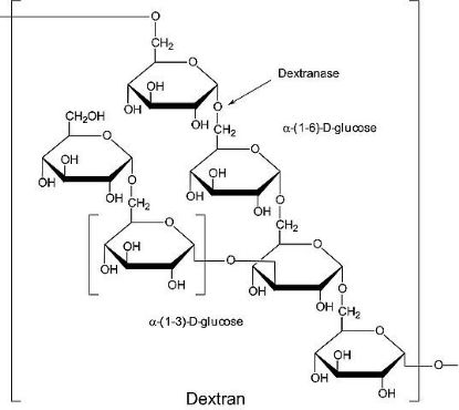 图片 葡聚糖酶来源于青霉菌属，Dextranase from Penicillium sp.；lyophilized powder, 100-250 units/mg protein