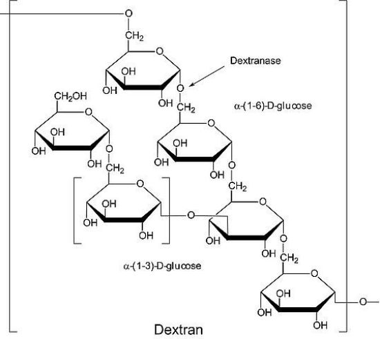 图片 葡聚糖酶来源于青霉菌属，Dextranase from Penicillium sp.；lyophilized powder, 100-250 units/mg protein