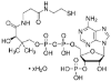 图片 辅酶A水合物，Coenzyme A hydrate [CoA]；≥85% (UV, HPLC)
