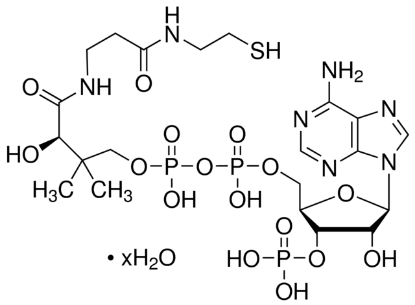 图片 辅酶A水合物，Coenzyme A hydrate [CoA]；≥85% (UV, HPLC)